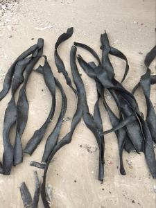 鋁塑電纜皮高溫分離設(shè)備3